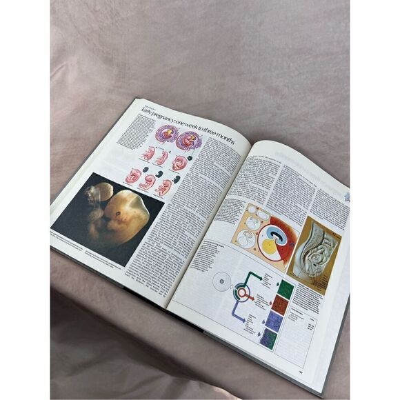 Vintage 1980 Human Atlas - Picture 5 of 7